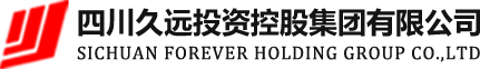 四川久远投资控股集团有限公司